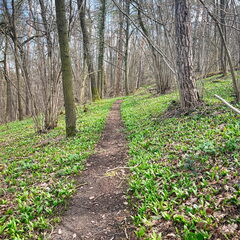 23-03-17 11-32-03 4891